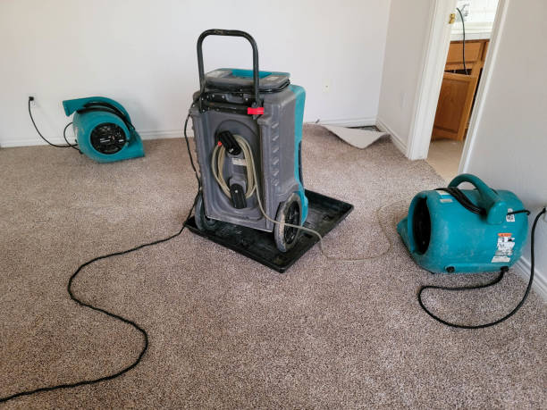 Best Water damage contractors near me  in Lake Cassidy, WA