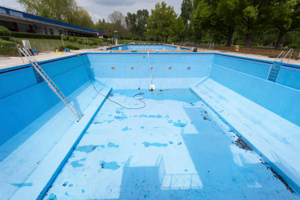 Best Mold removal after water damage  in Lake Cassidy, WA