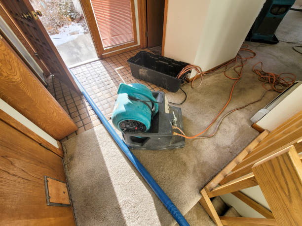 Best Emergency water damage restoration  in Lake Cassidy, WA