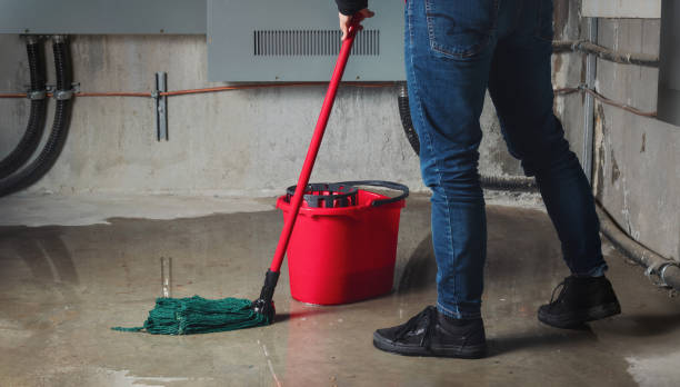 Best Water damage restoration near me  in Lake Cassidy, WA