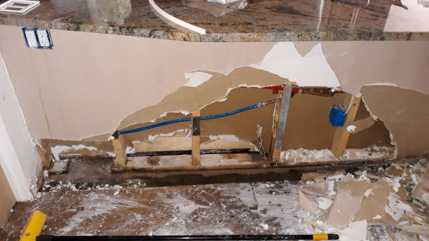 Best Carpet water damage restoration  in Lake Cassidy, WA