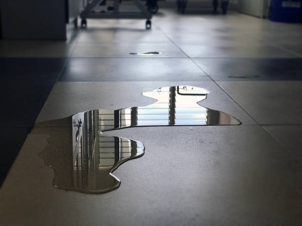 Best Water damage restoration insurance claims  in Lake Cassidy, WA