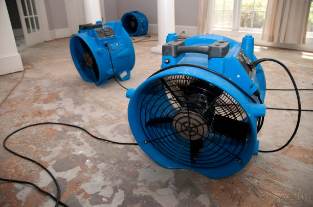 Best Water damage restoration process  in Lake Cassidy, WA