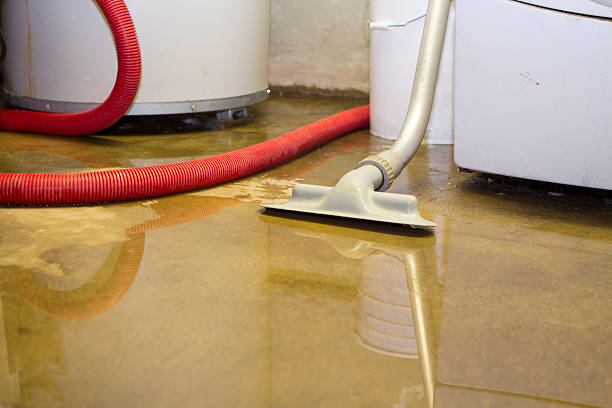Best Professional water damage repair  in Lake Cassidy, WA
