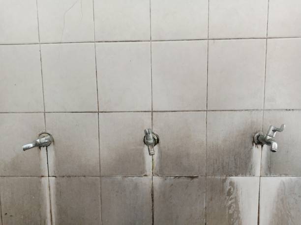 Best Water damage restoration mold remediation  in Lake Cassidy, WA