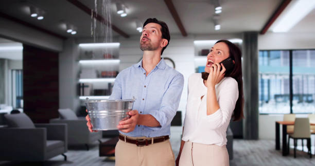 Best Flood damage cleanup  in Lake Cassidy, WA