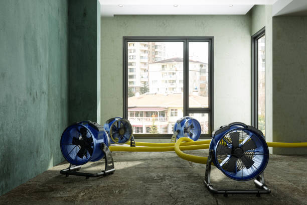 Best 24-hour water damage restoration  in Lake Cassidy, WA